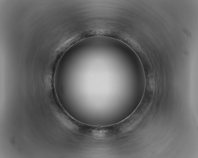 X0000113220450200909101153