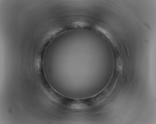 X0000113220451200909101153
