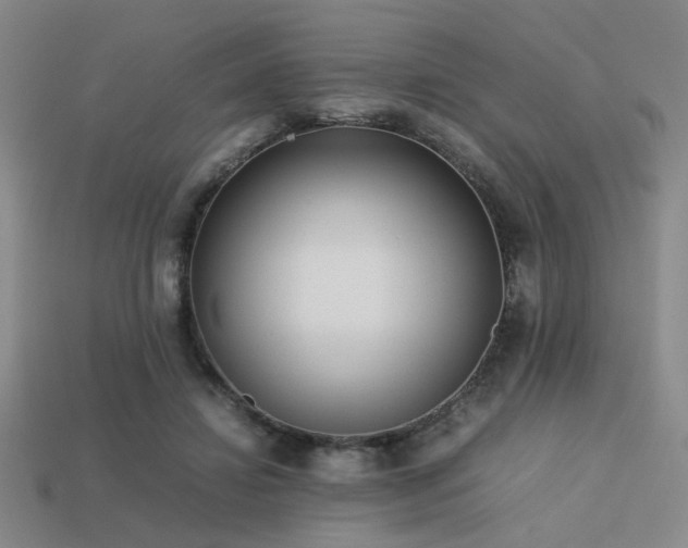 X0000113220452200909101153
