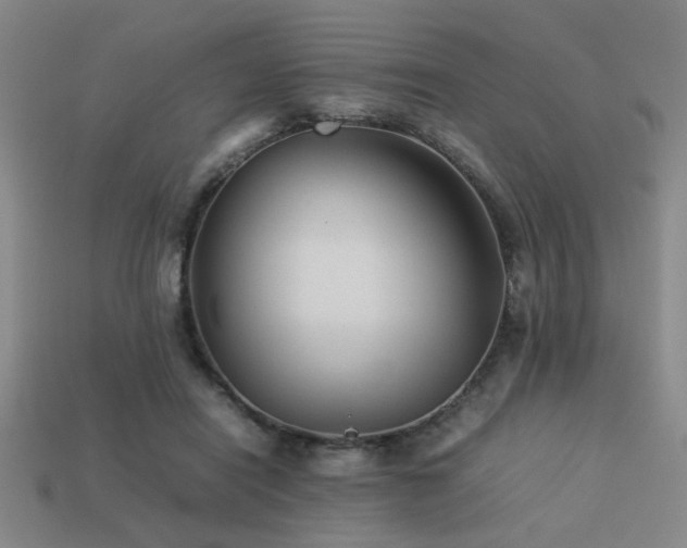 X0000113220454200909101153