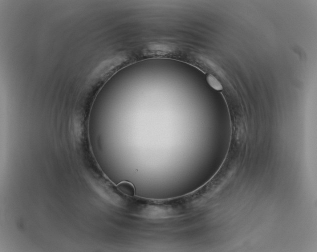 X0000113220455200909101153