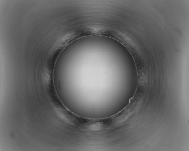 X0000113220456200909101153