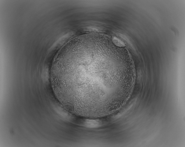 X0000113220457200909101153