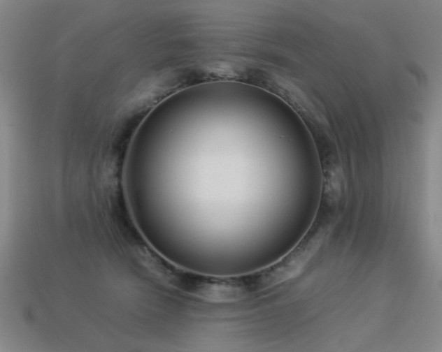 X0000113220466200909101154