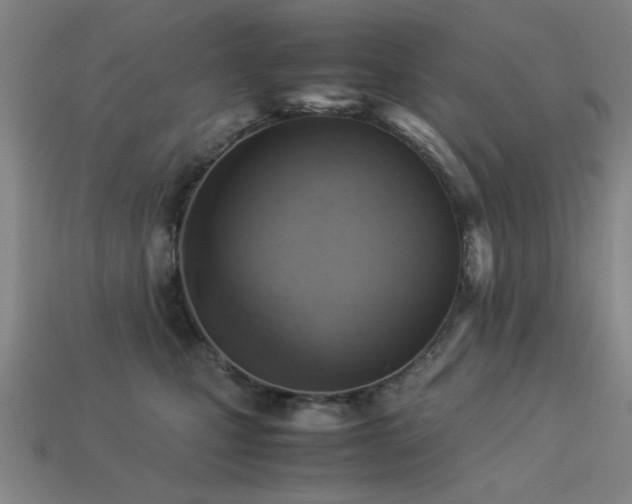 X0000113220471200909101154