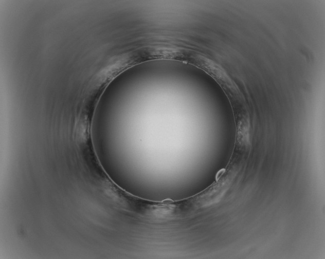 X0000113220474200909101154