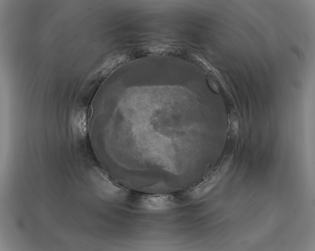 X0000113220479200909101154