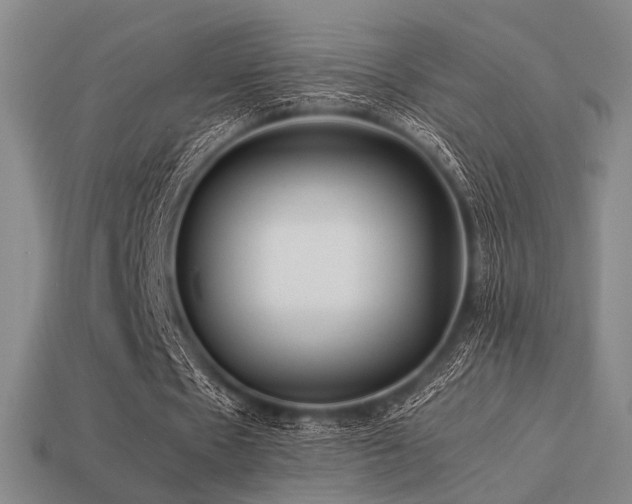 X0000113220481200909101153