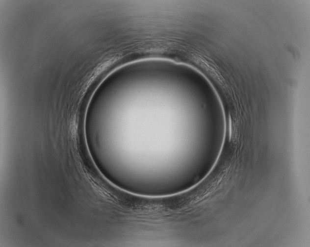 X0000113220483200909101153