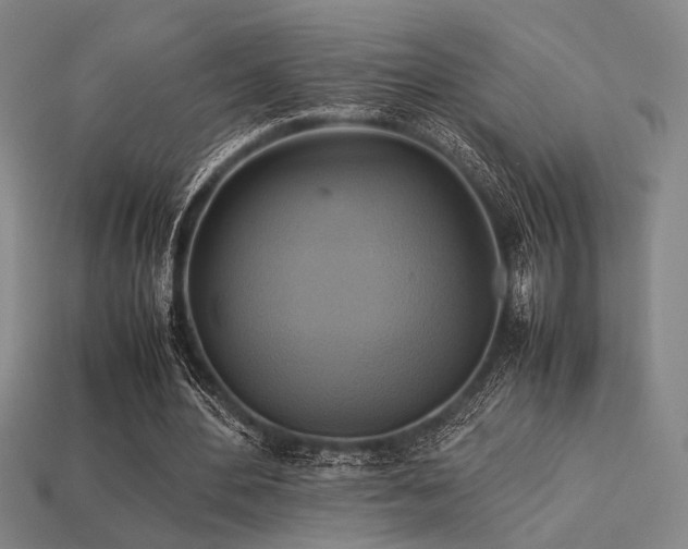 X0000113220484200909101153
