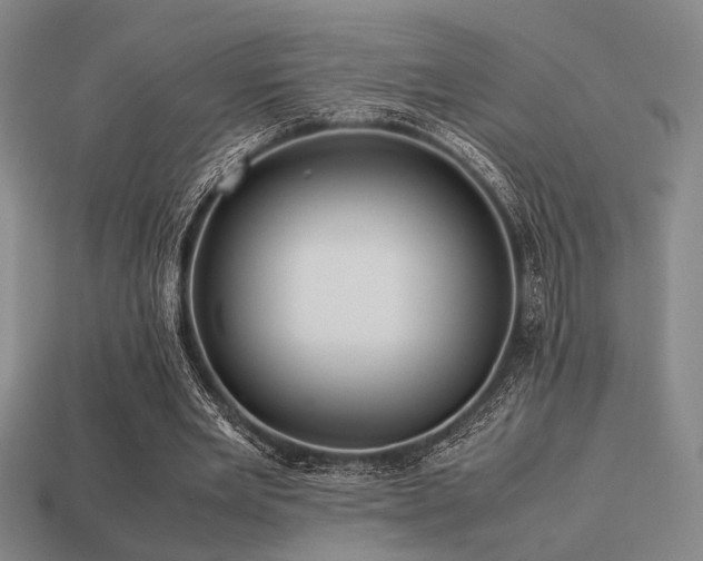 X0000113220485200909101153