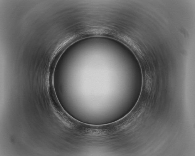 X0000113220486200909101153