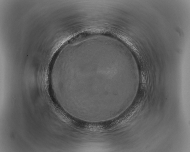 X0000113220487200909101153