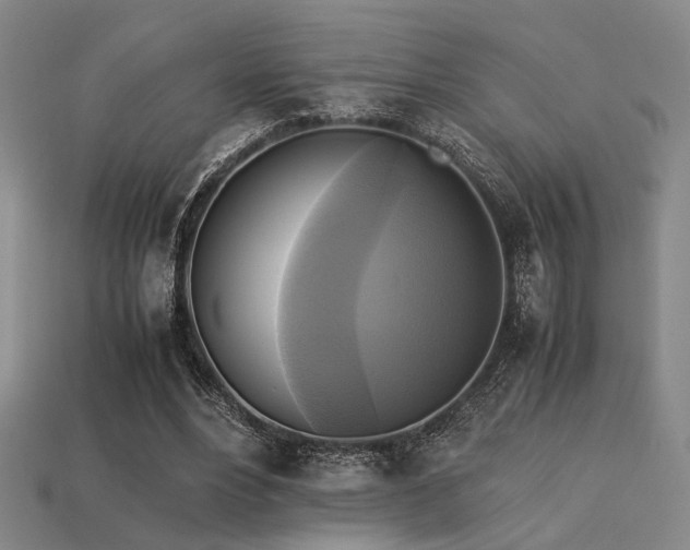 X0000113220488200909101153