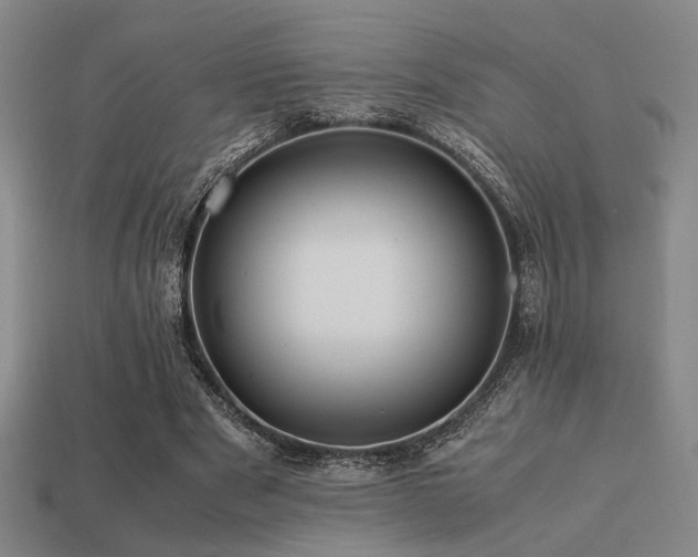 X0000113220489200909101153