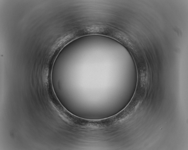 X0000113220490200909101153
