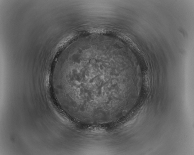 X0000113220491200909101153
