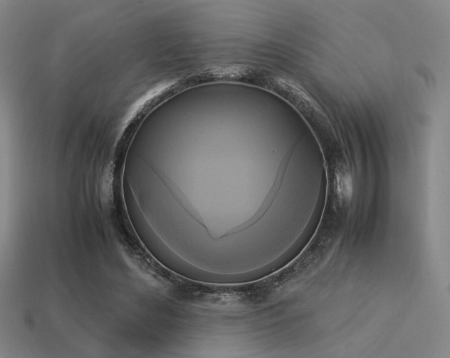 X0000113220492200909101153