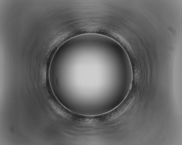 X0000113220493200909101153