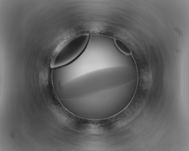 X0000113220496200909101153
