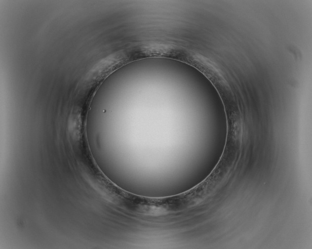 X0000113220498200909101153