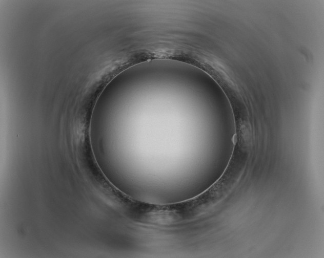 X0000113220499200909101153