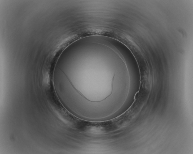 X0000113220500200909101153