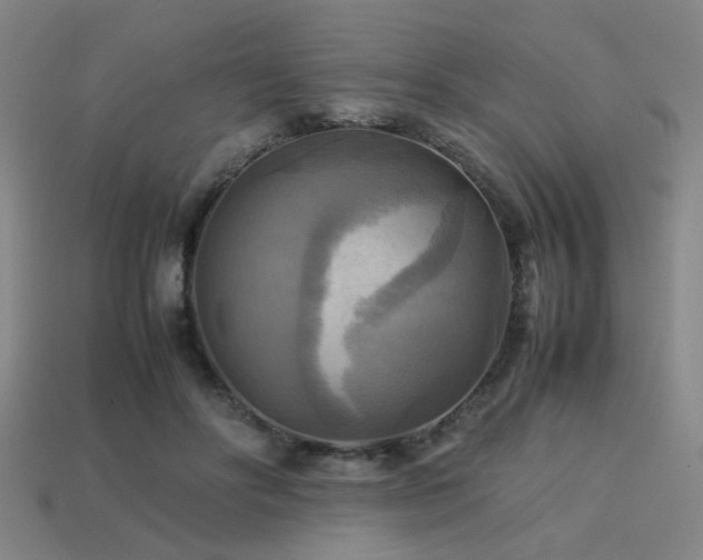 X0000113220502200909101153