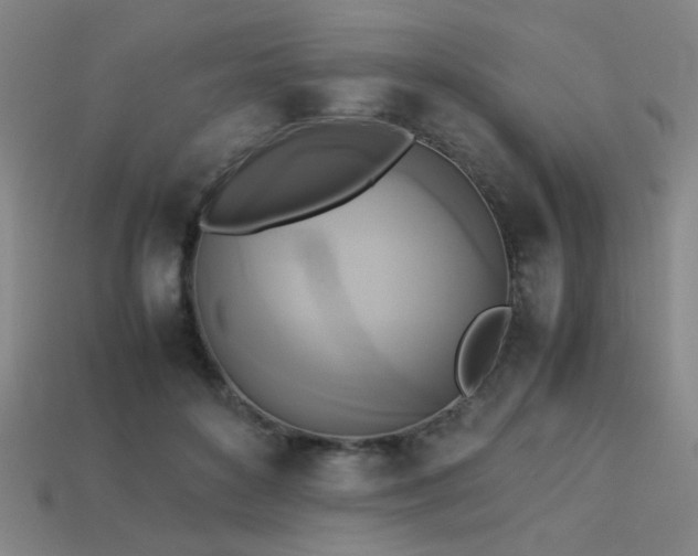 X0000113220504200909101153