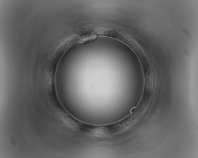 X0000113220505200909101153