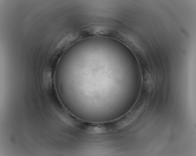 X0000113220506200909101153