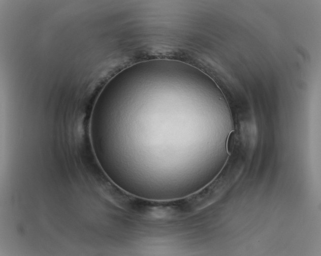 X0000113220508200909101153