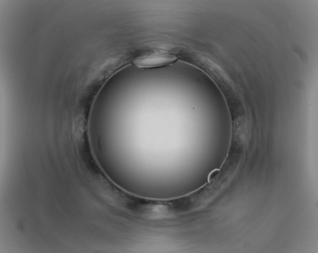 X0000113220509200909101153