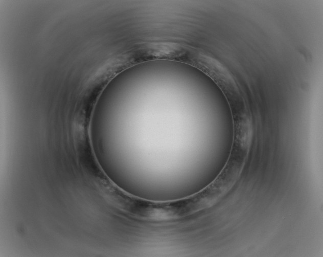 X0000113220510200909101153