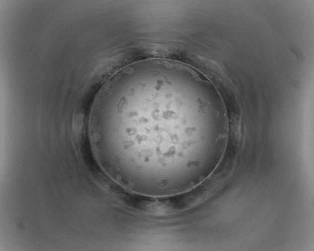 X0000113220511200909101153
