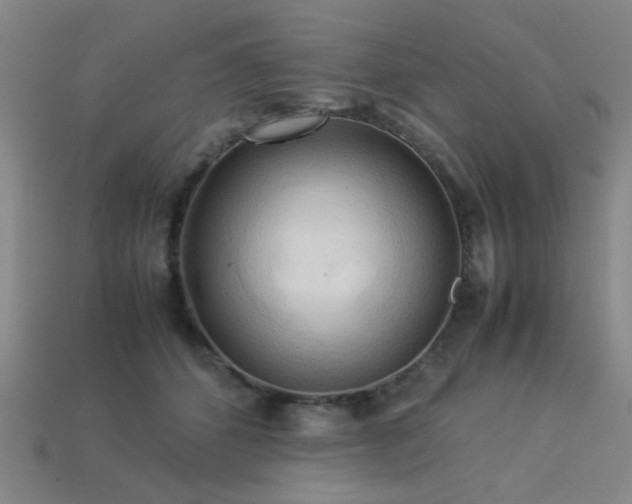 X0000113220512200909101153