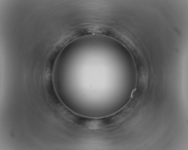 X0000113220513200909101153