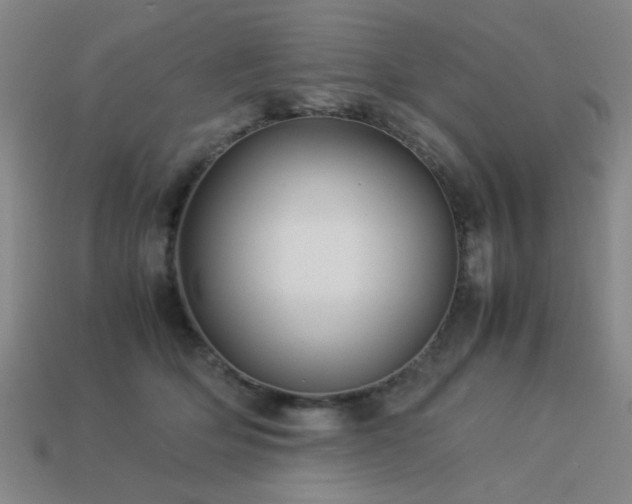 X0000113220514200909101153