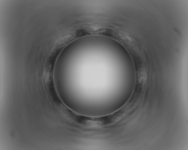X0000113220515200909101153