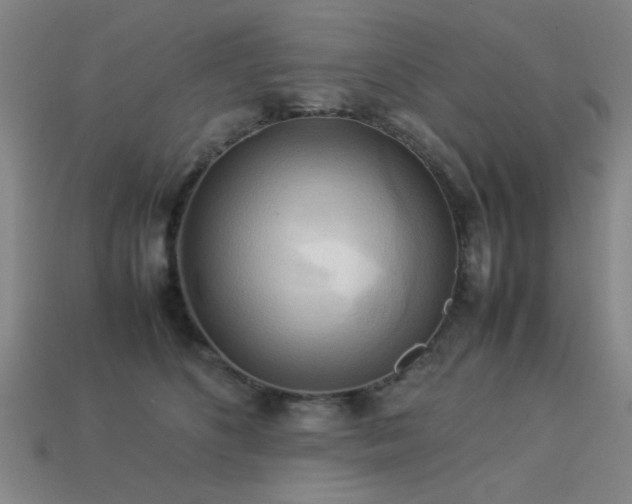 X0000113220516200909101153