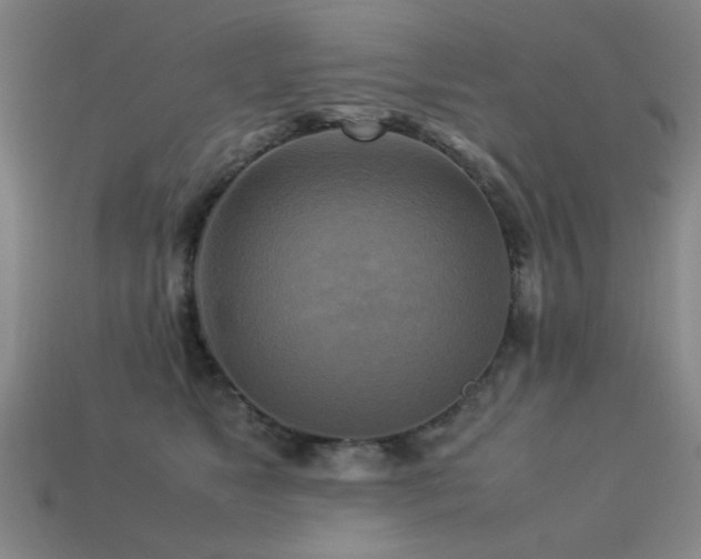 X0000113220517200909101153