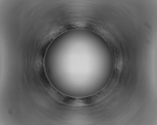 X0000113220518200909101152