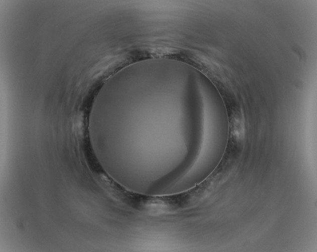 X0000113220519200909101152