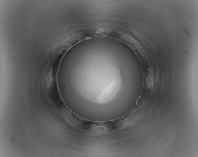 X0000113220520200909101152