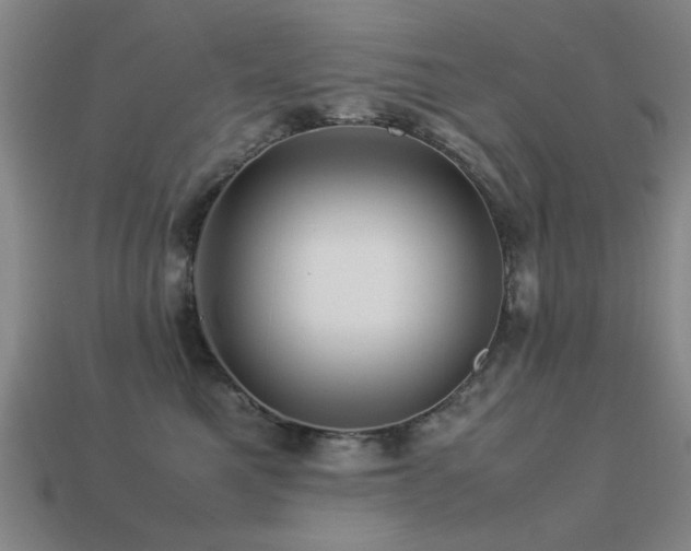 X0000113220521200909101152