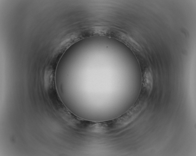 X0000113220522200909101152