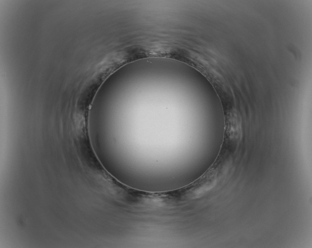 X0000113220523200909101152