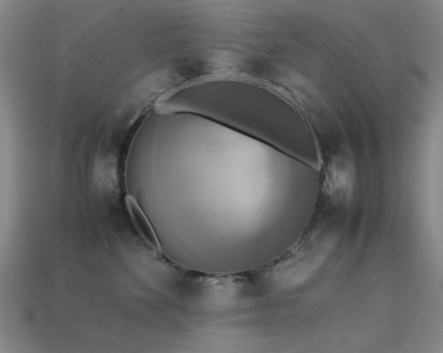 X0000113220524200909101152