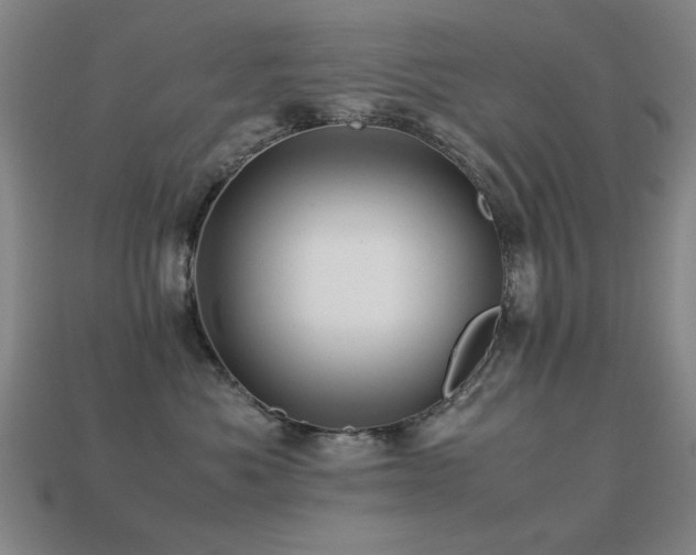 X0000113220525200909101152
