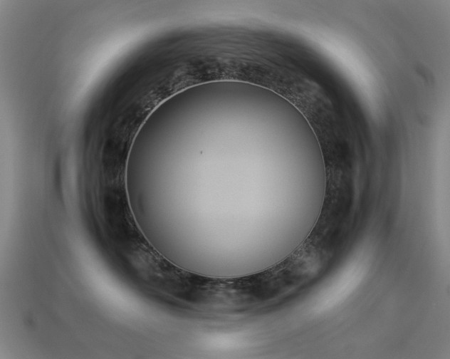 X0000113220526200909101152